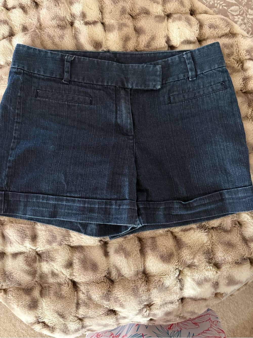 Ann Taylor Denim Shorts